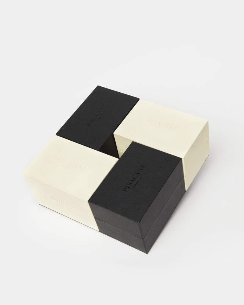 The dark-light and geometries : Gamification is ready - Pisacane